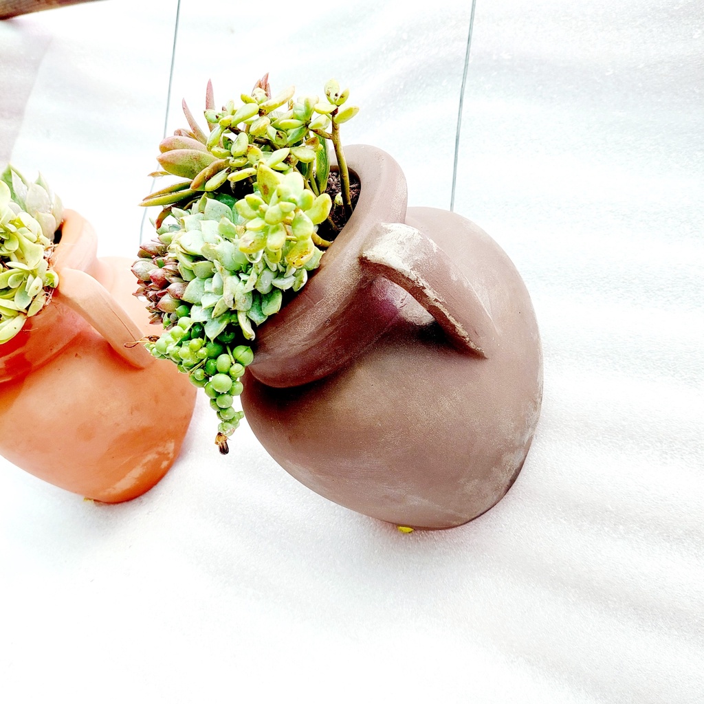 Chậu đất nung, Chậu sen đá - Ốp tường quai - miệng chậu 9cm, chiều cao 17cm