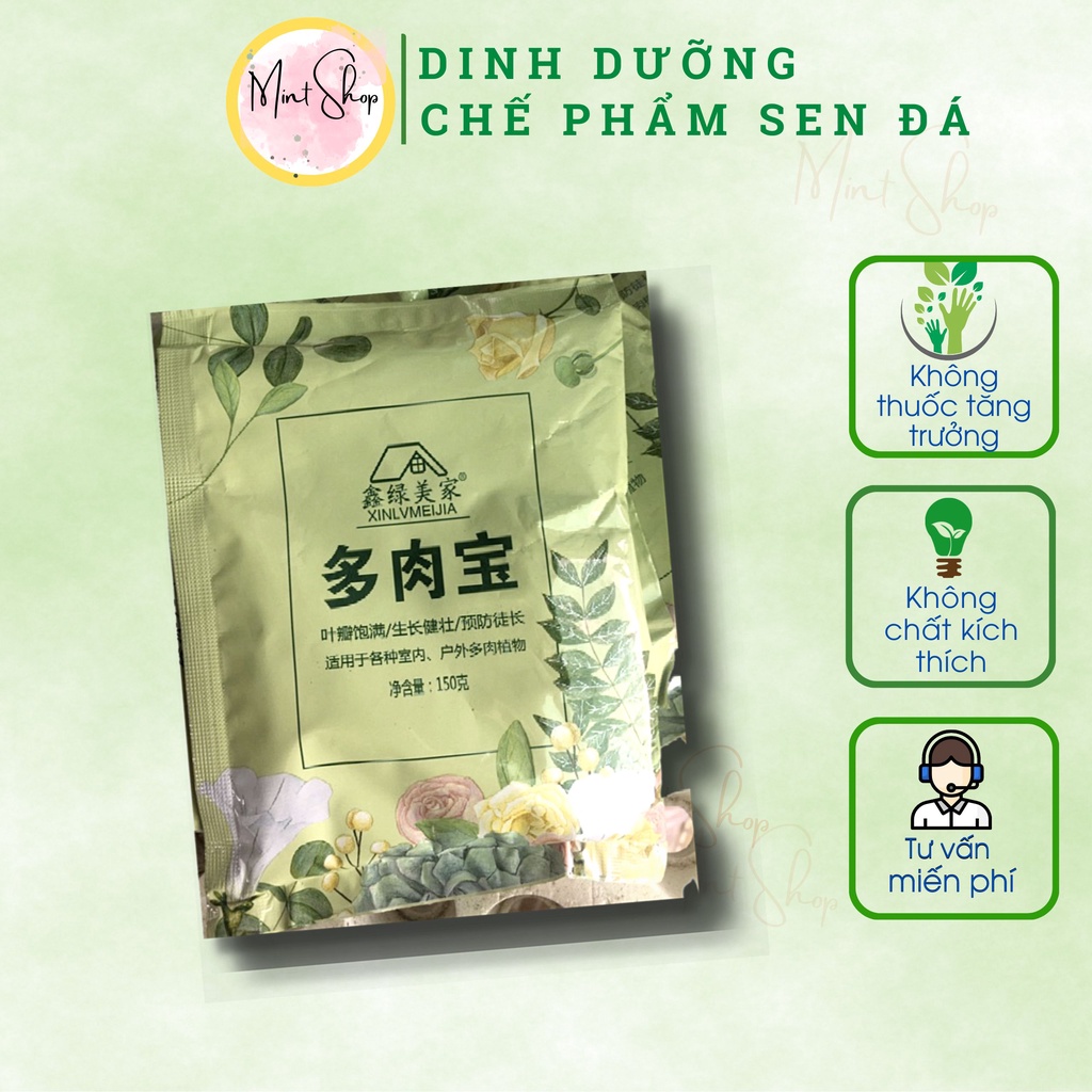 Set 2 gói Phân tan chậm phân bón cho sen đá xương rồng lan cây bonsai