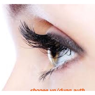 Keo dán mi VACOSI Eyelash 3D Primer ( mẫu mới )