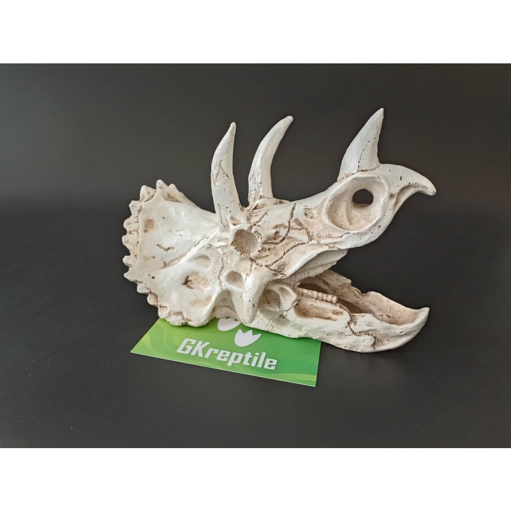 Mô hình trang trí sọ khủng long cho chuồng nuôi