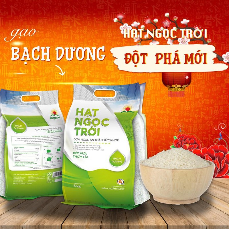 Gạo Hạt Ngọc Trời Bạch Dương túi 5kg - gạo trắng hạt dài dẻo vừa thơm lài