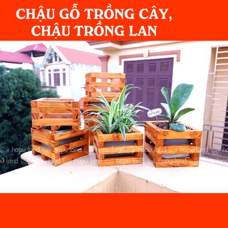 Chậu gỗ trồng cây cảnh, chậu trồng lan vintage
