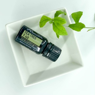 Tinh dầu tràm trà phân đoạn T40