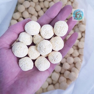 SỨ BI VÀNG - VẬT LIỆU LỌC HỒ CÁ, HỒ THUỶ SINH (100g)