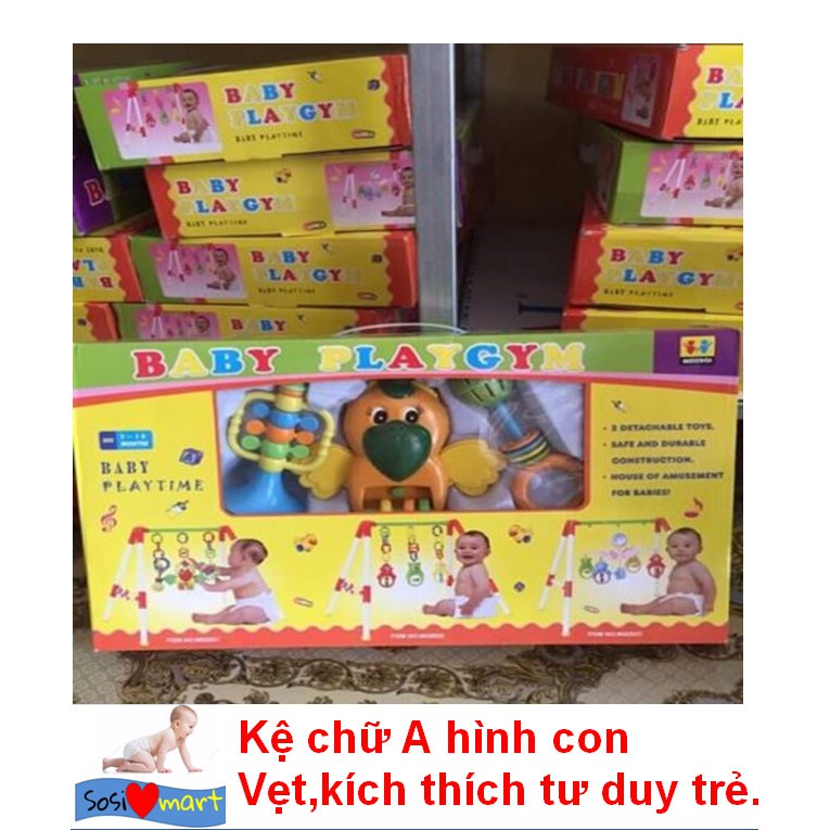 Kệ chữ A con Vẹt