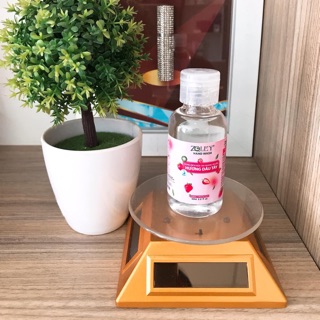 [SIZE 60ML] - DUNG DỊCH RỬA TAY KHÔ KHÁNG KHUẨN ZOLEY