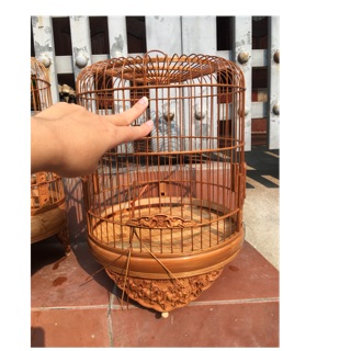 Choè đất bát mã
