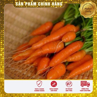 Hạt Giống Cà Rốt Mini(100 hạt)