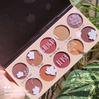 Bảng phấn má, bắt sáng Essence  FALL BACK TO NATURE(Đức)