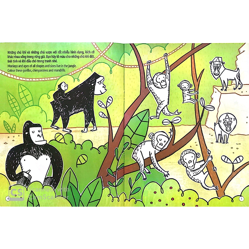 Sách - Tô Màu Bóc Dán - Rừng Nhiệt Đới - Jungle