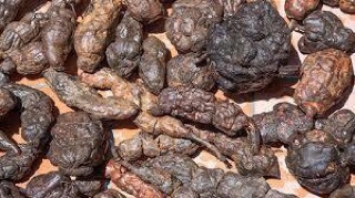 Hà thủ ô đỏ sơ chế đậu đen loại 1