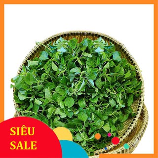 10g Hạt giống Rau dền cơm VIETPHAT