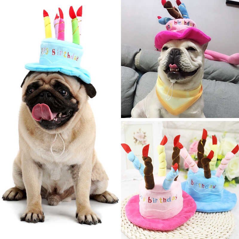 Mũ Happy birthday cho chó mèo. Mũ nón cho chó mèo