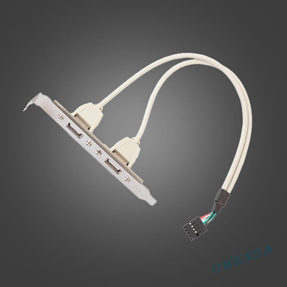 Cáp Chuyển Đổi 2 Cổng Usb 2.0 Sang 9 Pin Cho Pc