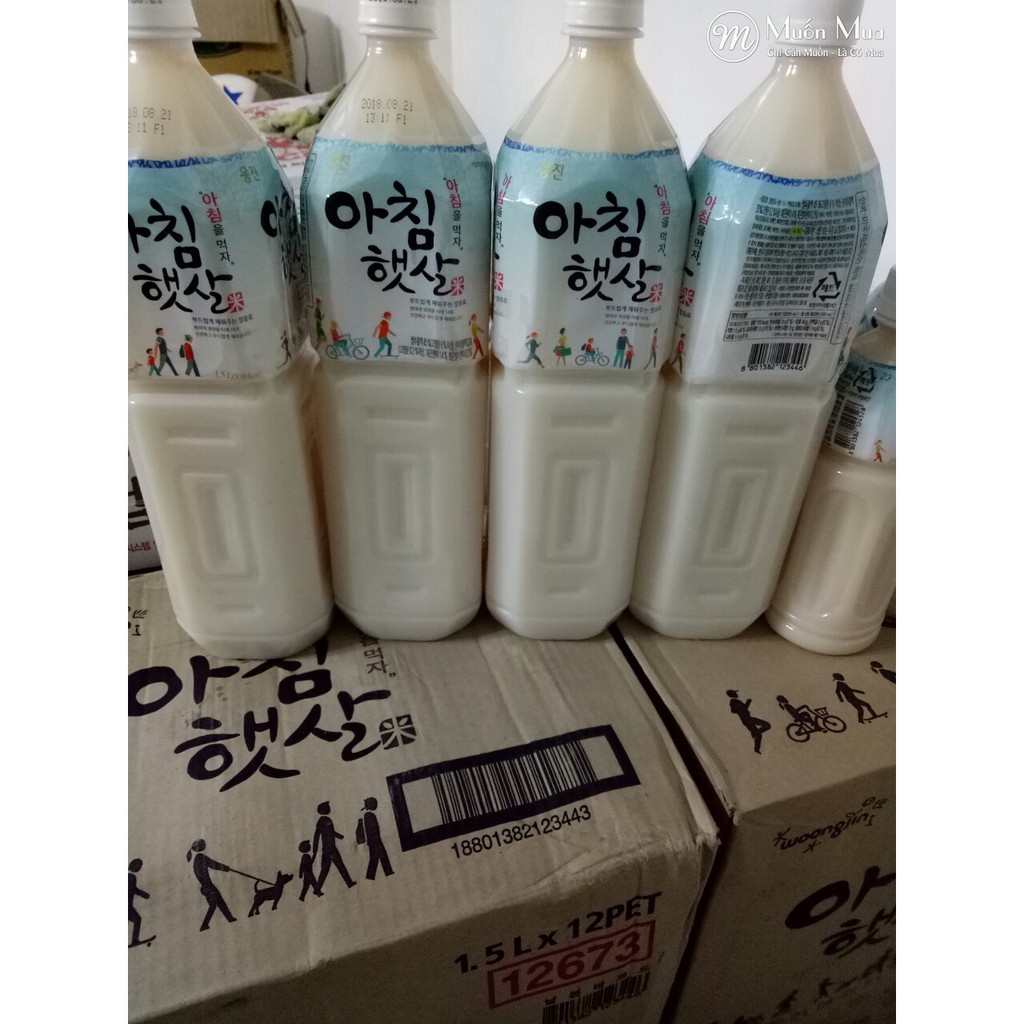 Nước gạo rang Hàn Quốc 500ml 1,5l morning rice