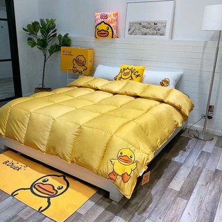 chăn lông vũ cao cấp