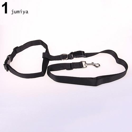 Dây xích chó đeo ngang hông tiện dụng dùng chạy bộ