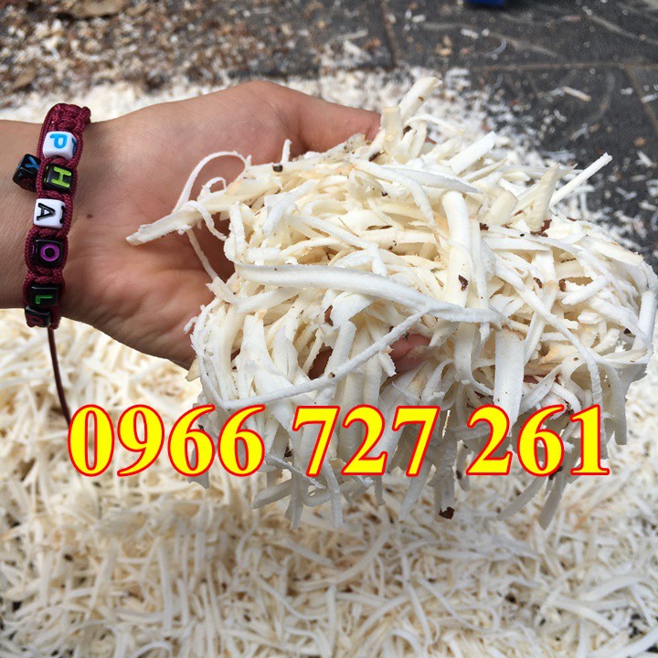 Máy thái sợi rau củ quả công nghiệp, máy thái sợi củ quả cho nhà hàng Savi CC750
