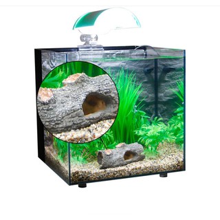 Tượng khúc gỗ mục nát dành cho cá nhỏ tôm tép cư trú