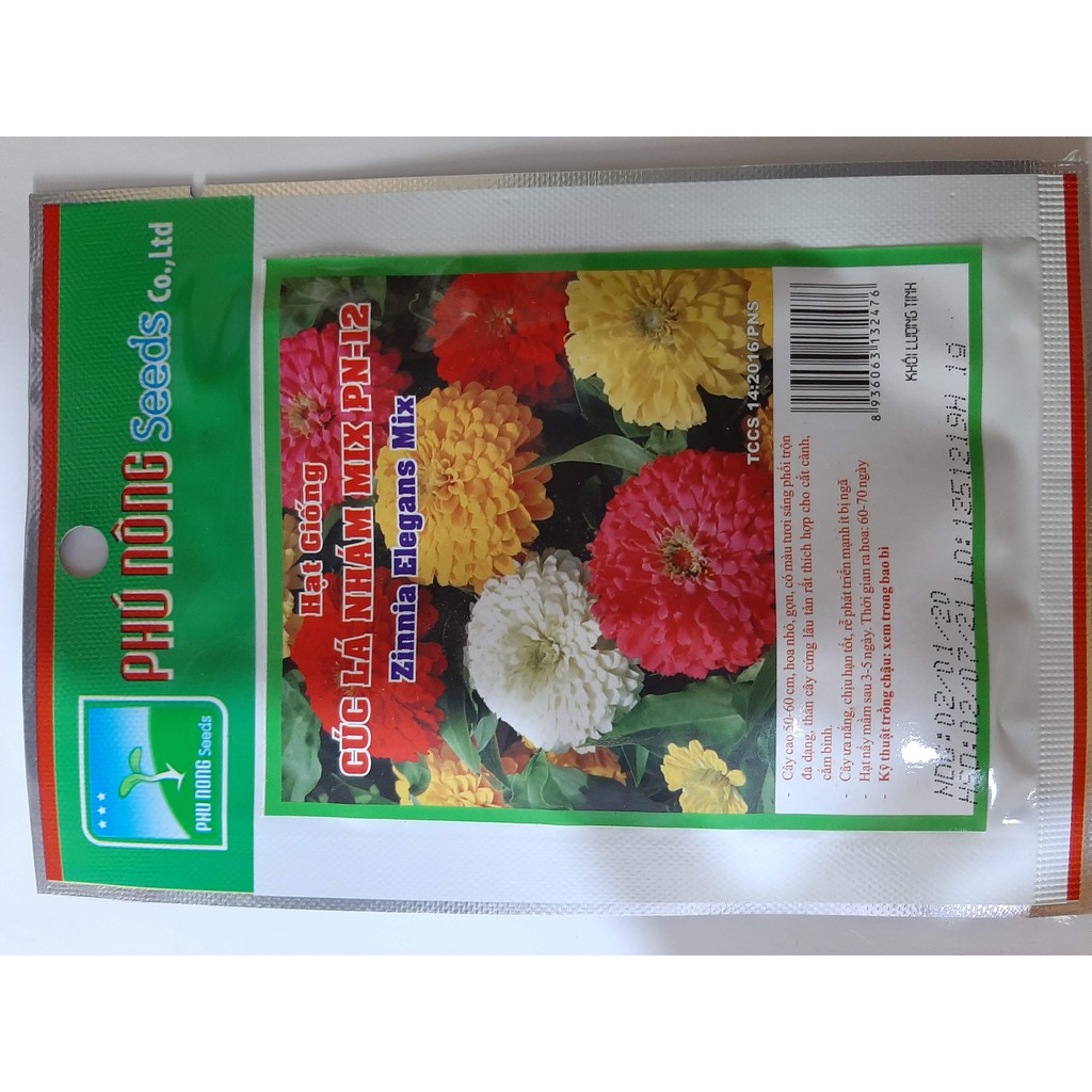 Hạt giống Hoa cúc lá nhám Mix PN-12