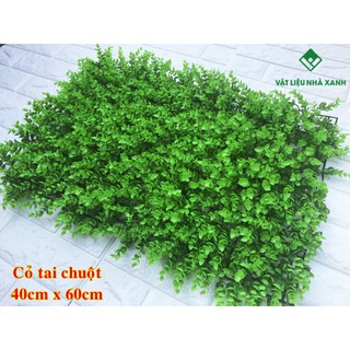 Quận 12 - Thảm Cỏ Tai Chuột Trang Trí (LOẠI 1)