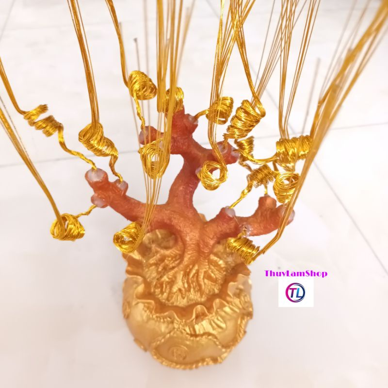 Gốc cây túi tiền đế đúc chắc chắn làm cây cành vàng lá ngọc