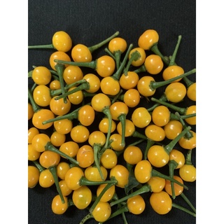 tặng 30 trái  khi mua 100 trái ớt  tươi giống Charapita.
