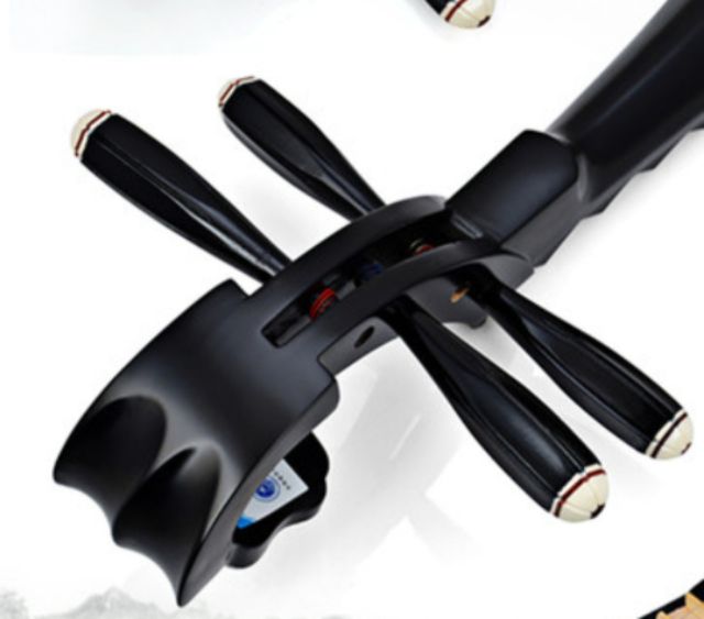 Đàn tỳ bà trung quốc