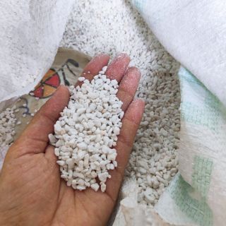 1Kg ĐÁ PERLITE (TRỘN GIÁ THỂ TRỒNG CÂY)