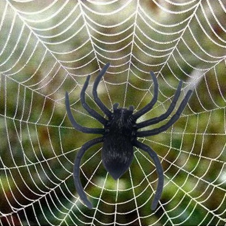 1 Con Nhện giả đồ chơi To Đen CHÂN DÀI