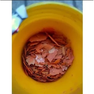 Cám Lá Aquafin Thước Ăn Cho Cá 7 Mầu, Guppy, ... 24g 55g 110g