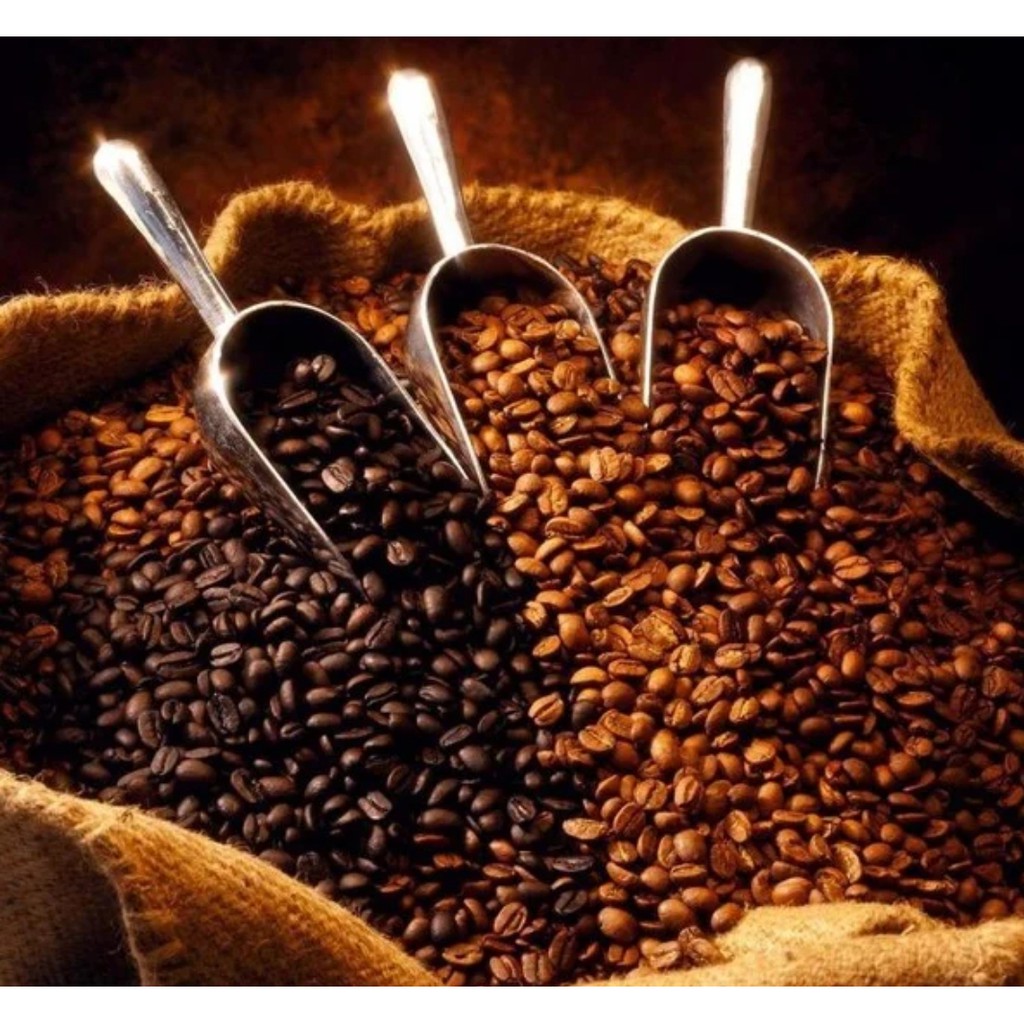 CÀ PHÊ UY TÍN (S) SONG HÀNH CÙNG CHẤT LƯỢNG. CÀ PHÊ VIỆT NAM, CÀ PHÊ BUÔN MA THUỘC, CÀ PHÊ NGON, CÀ PHÊ QUÀ TẶNG | BigBuy360 - bigbuy360.vn