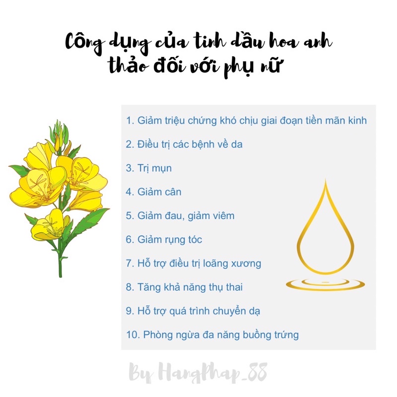 Hoa anh Thảo Nat&Form Pháp