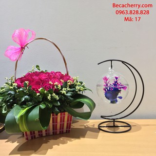 Bể cá cảnh nhỏ cung trăng -17 ( Tặng kèm phụ kiện trang trí )