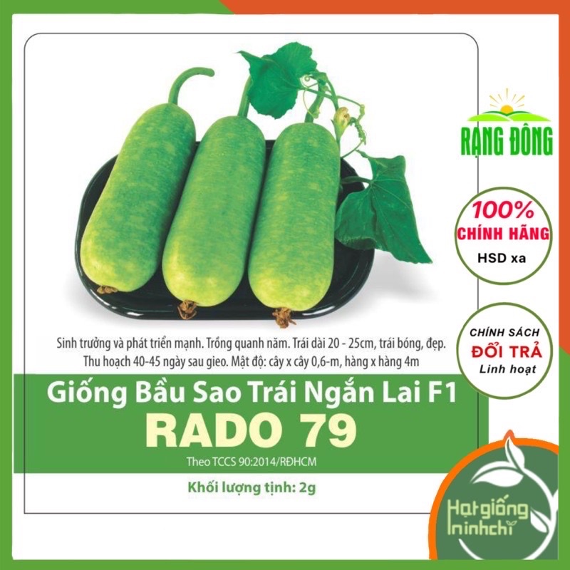 Hạy giống Bí đao chanh rado dễ trồng kháng bệnh tốt hạt giống rau củ quả chính hãng