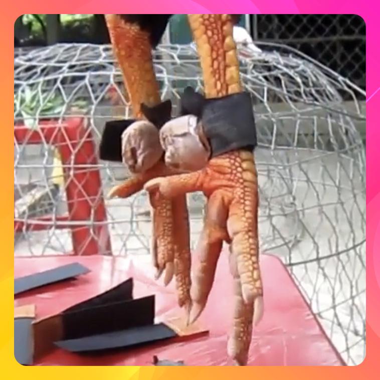 BỊT CHỐT CỰA VẢI - GÀ TRE/GÀ NÒI - 1 BỘ DÙNG 2 CON