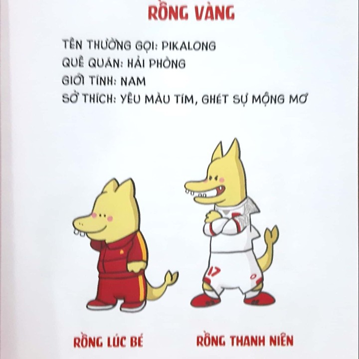 Sách - Pika Long yêu Việt Nam