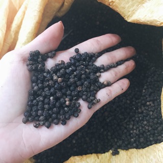 Tiêu đen loại đặc biệt