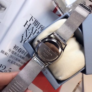 Đồng hồ nam Skagen SKW1065