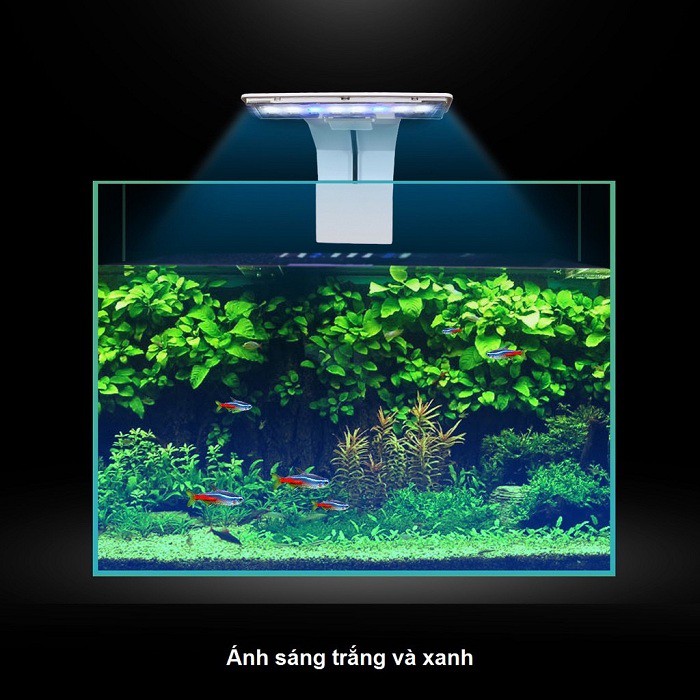ĐÈN LED KẸP HỒ CÁ VIPSUN M180 HỒ 15 ĐẾN 25CM