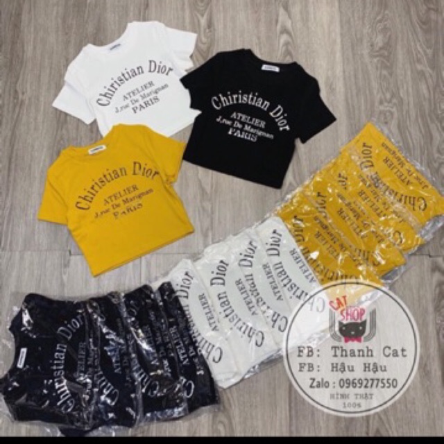 Croptop thêu chữ hình chụp thật kèm video