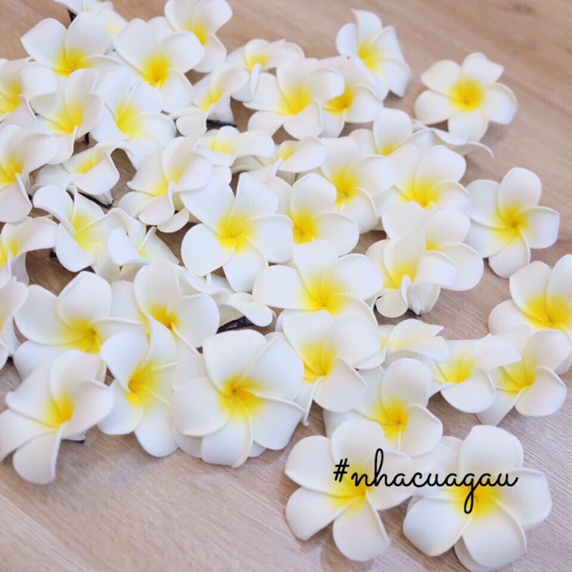 Kẹp hoa sứ đi biển sống ảo size 8cm