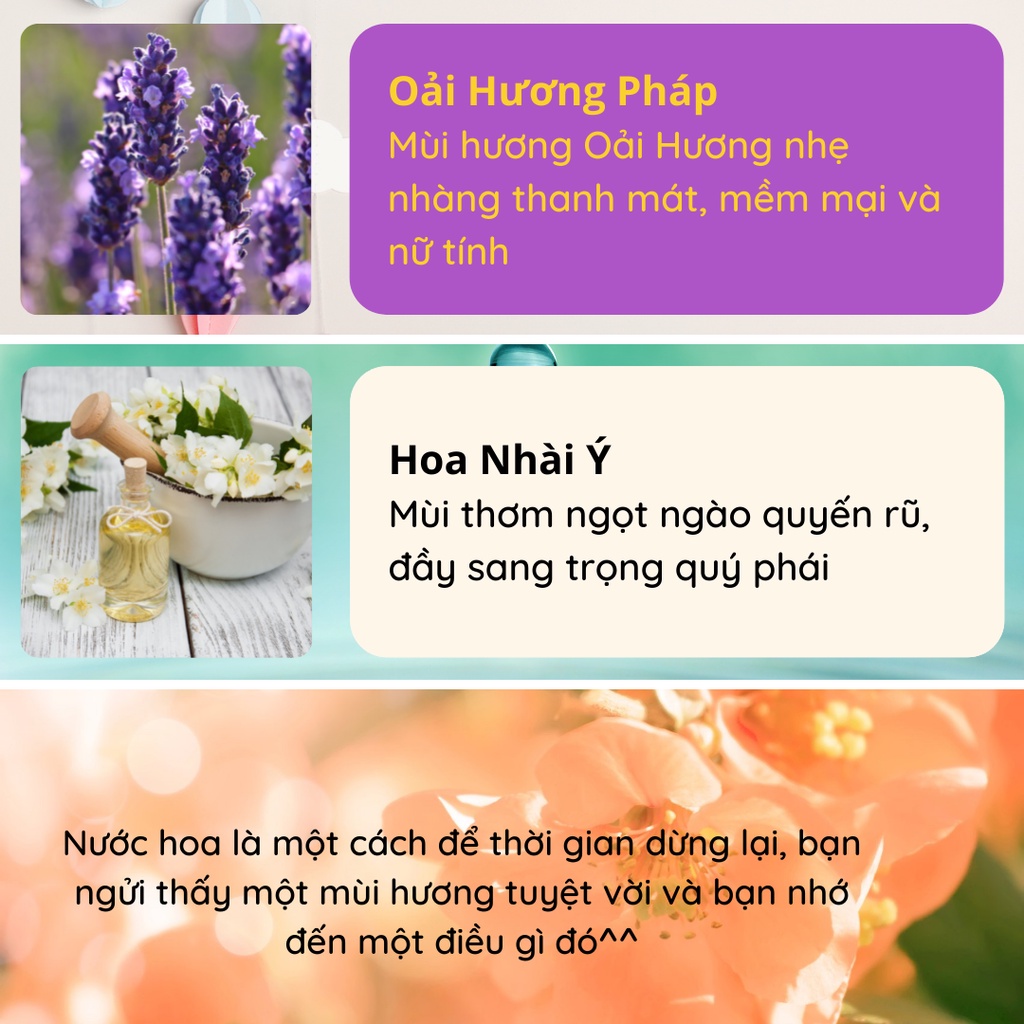 Lọ khuếch tán tinh dầu thơm phòng B&amp;W thiên nhiên khử mùi thơm phòng que gỗ KT18