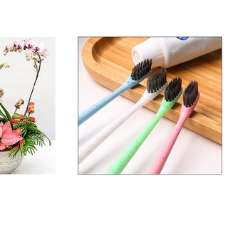 Bàn Chải Đánh Răng Đầu Nhỏ Lông Mềm Bằng Sợi Rơm Lúa Mì