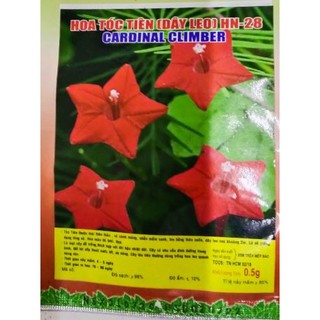HẠT HOA TÓC TIÊN DẠNG LEO - GÓI 0,5 GRAM