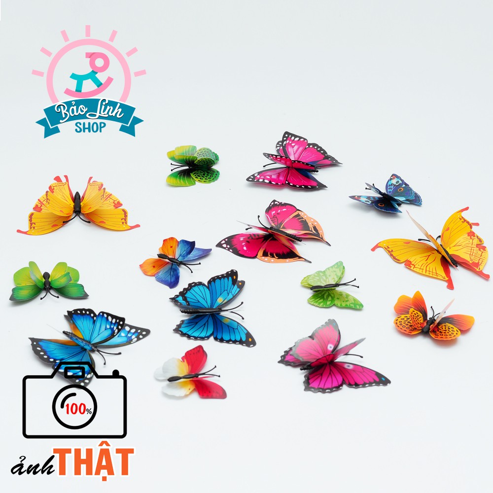 SET 50 bướm nhựa cánh kép trộn Size| Nguyên liệu trang trí, handmade cho bé