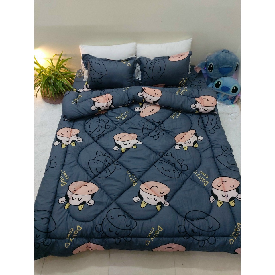 [Thanh lý hàng] Bộ Chăn Phao Ga Gối Poly Set 5 Món nhiều mẫu lựa chọn | BigBuy360 - bigbuy360.vn