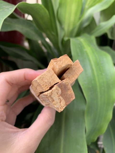 Palo Santo - Gỗ trắc xanh thanh tẩy