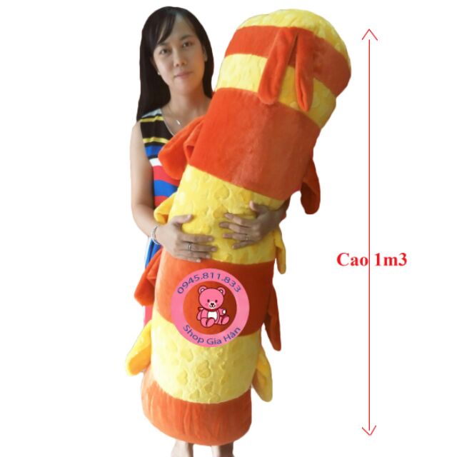 Sâu bông ôm size lớn nhất