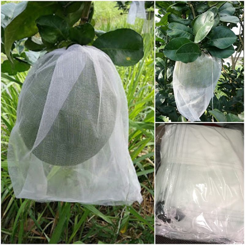 (10, 20, 50, túi) Túi bao bưởi 30x35cm